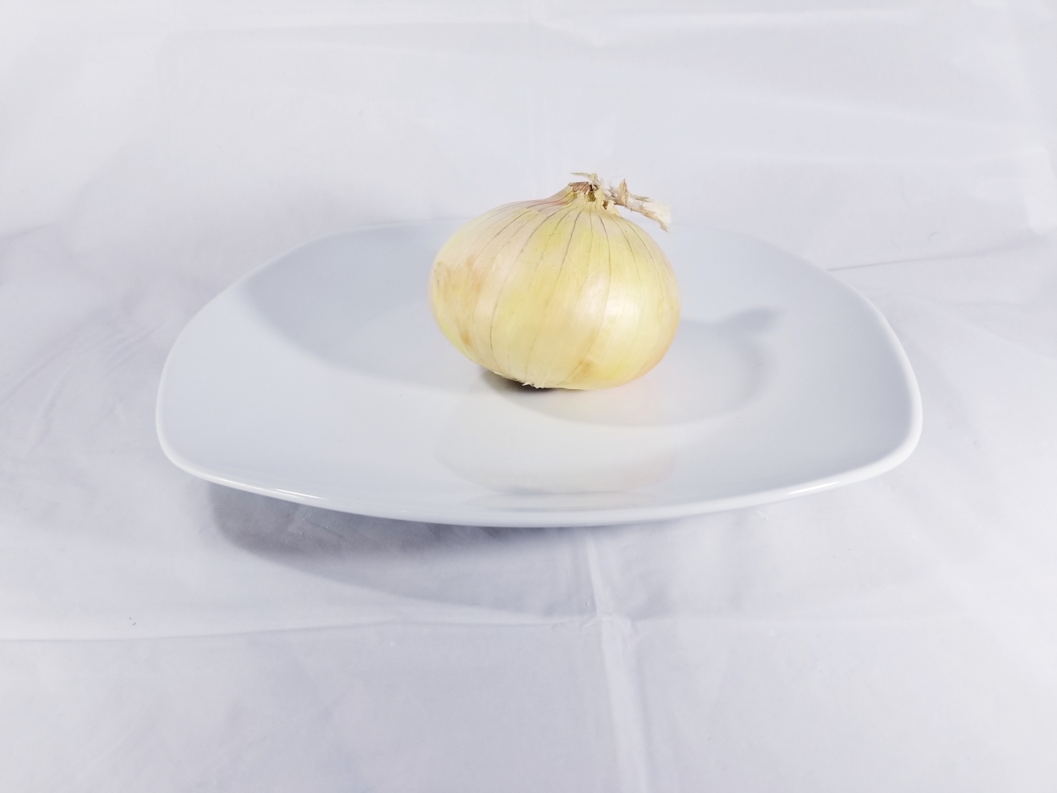 an onion on a plate