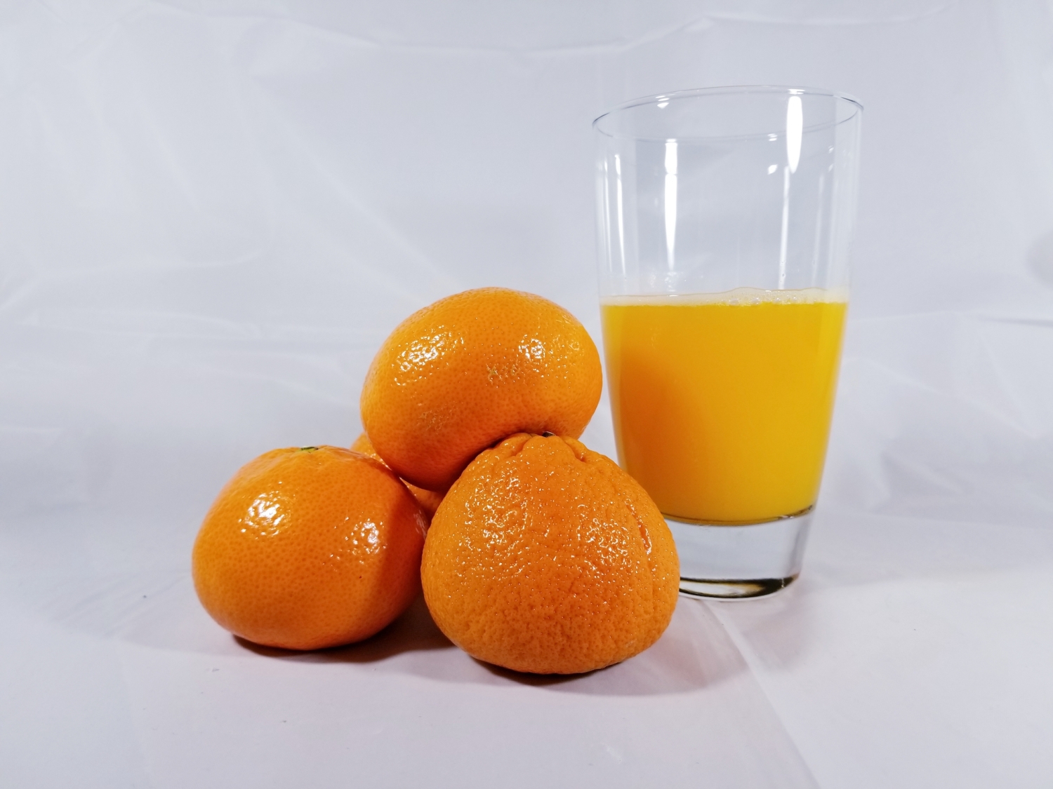 area Affirm Relative Can You Make Orange Juice With a Blender? – Loquacious Taste